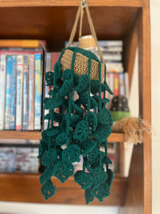 Pianta Mira 12x46cm - Pianta Pendente Decorativa in Filato Acrilico