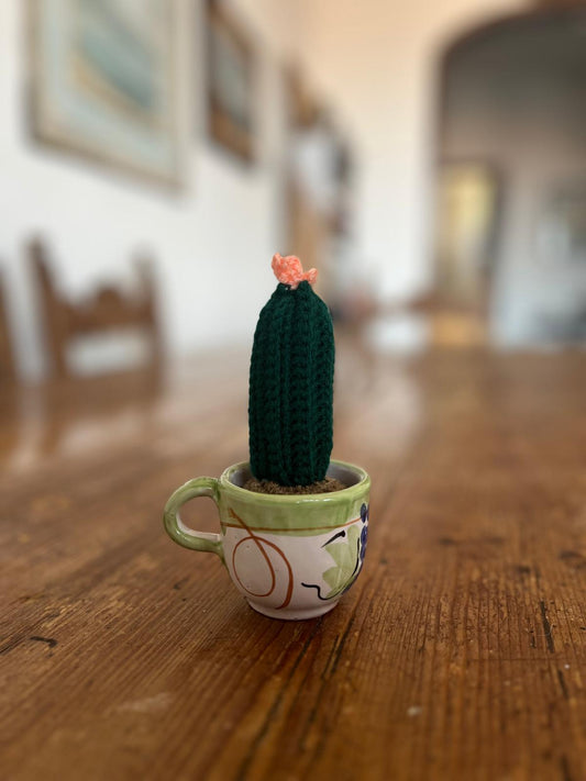 Pianta Alba 4x9cm - Pianta Grassa Decorativa in Filato Acrilico