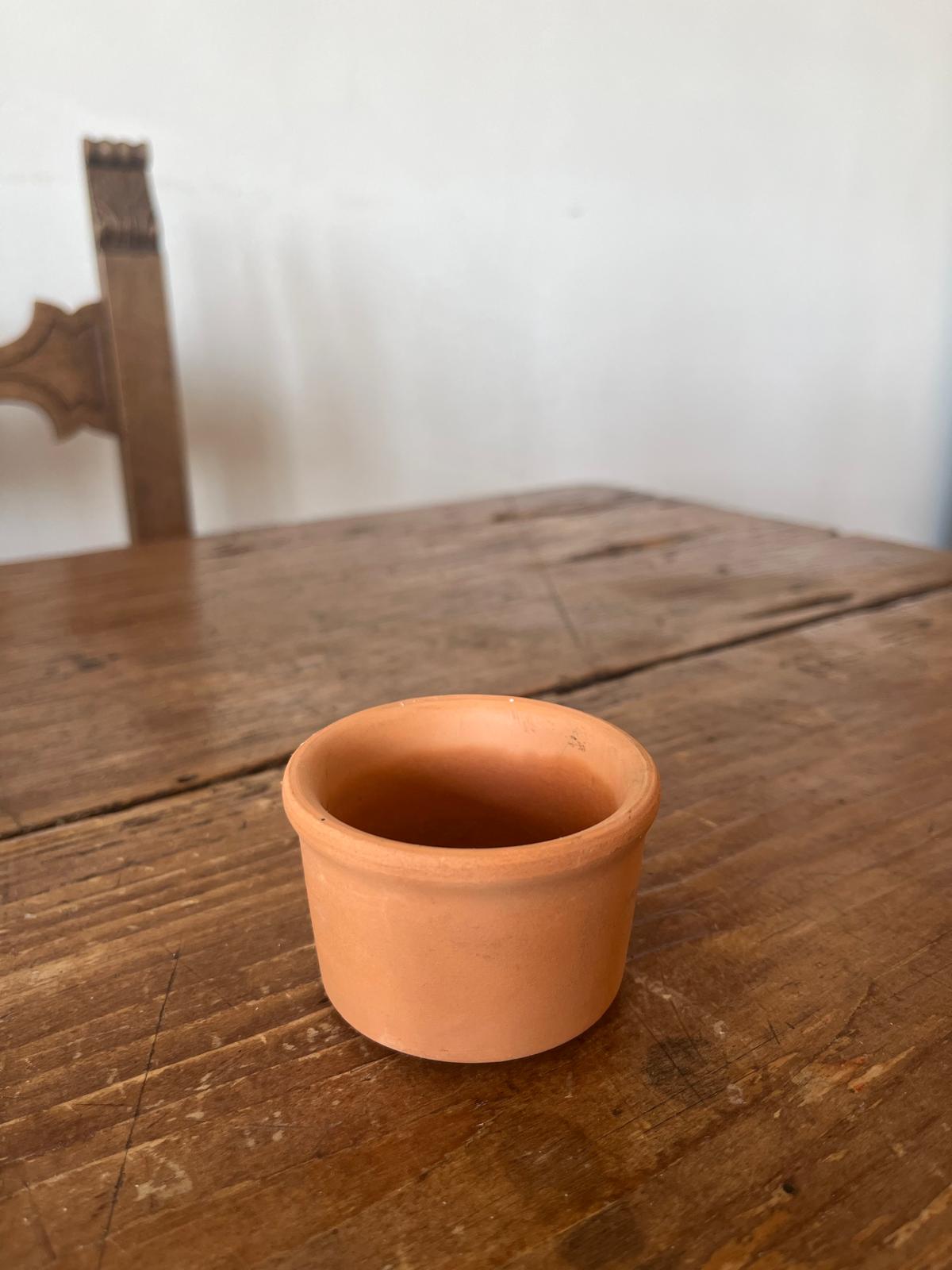 Tazzine - Accessorio per Piante Decorative